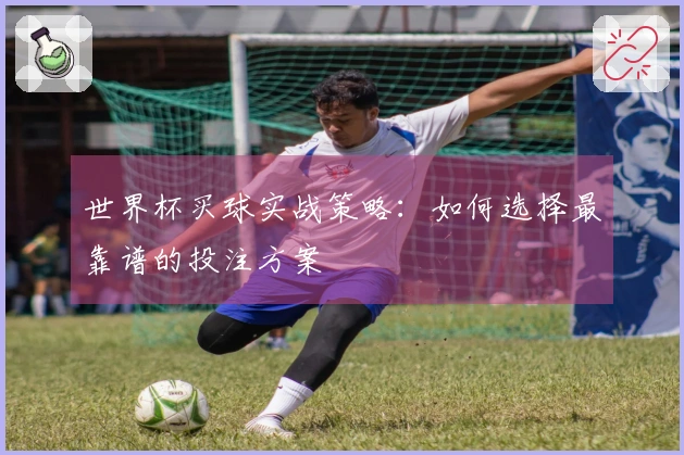 世界杯买球实战策略：如何选择最靠谱的投注方案