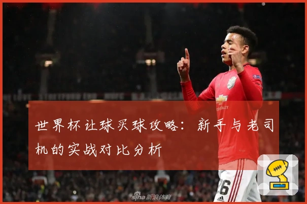 世界杯让球买球攻略：新手与老司机的实战对比分析