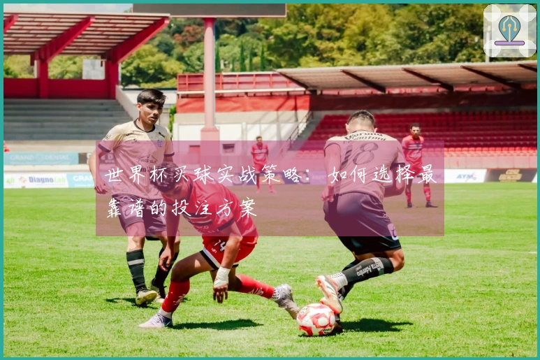 世界杯买球实战策略：如何选择最靠谱的投注方案