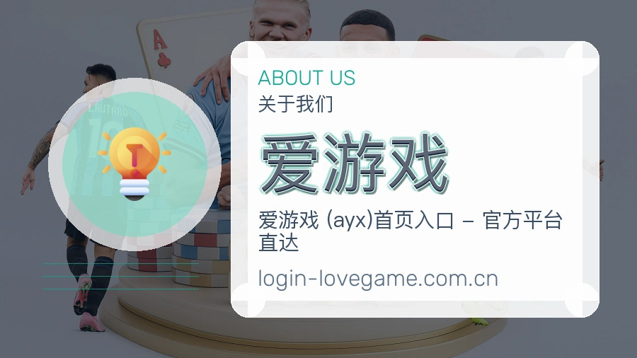 关于 爱游戏